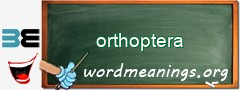 WordMeaning blackboard for orthoptera